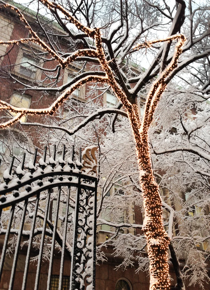 Columbia Gates in Snow, 2014