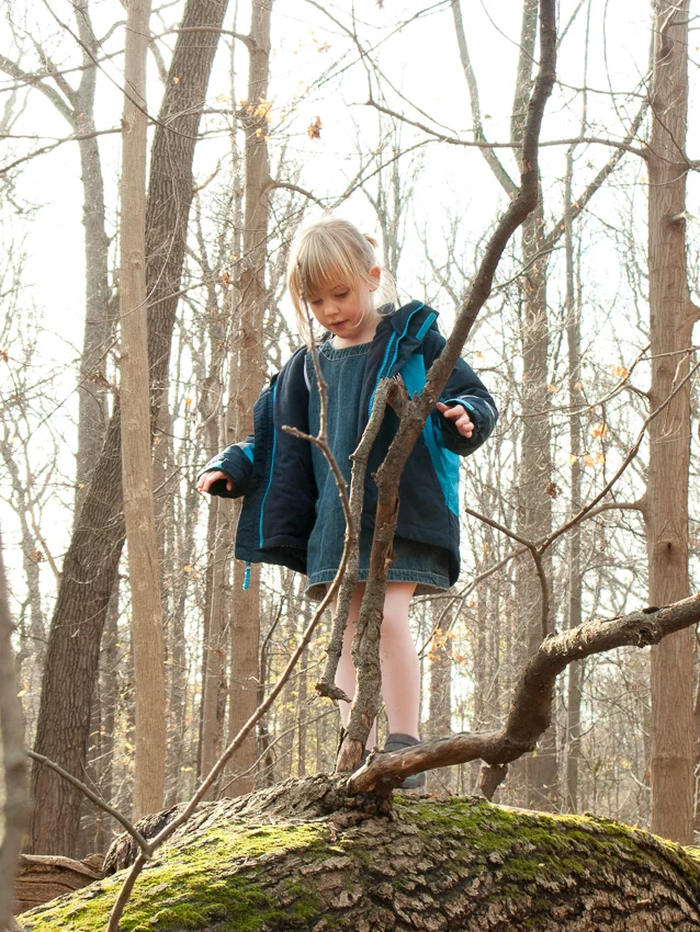 Lexi in the Woods, 2011