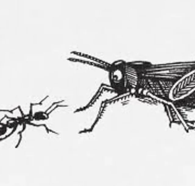 grasshopper+ant.jpg