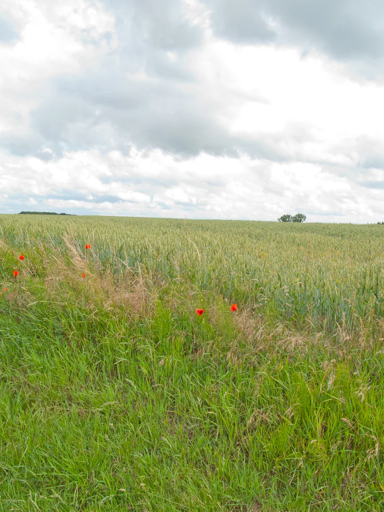Wallonia, Belgium, 2011