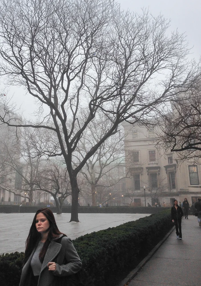 Low Library in Fog, 2013