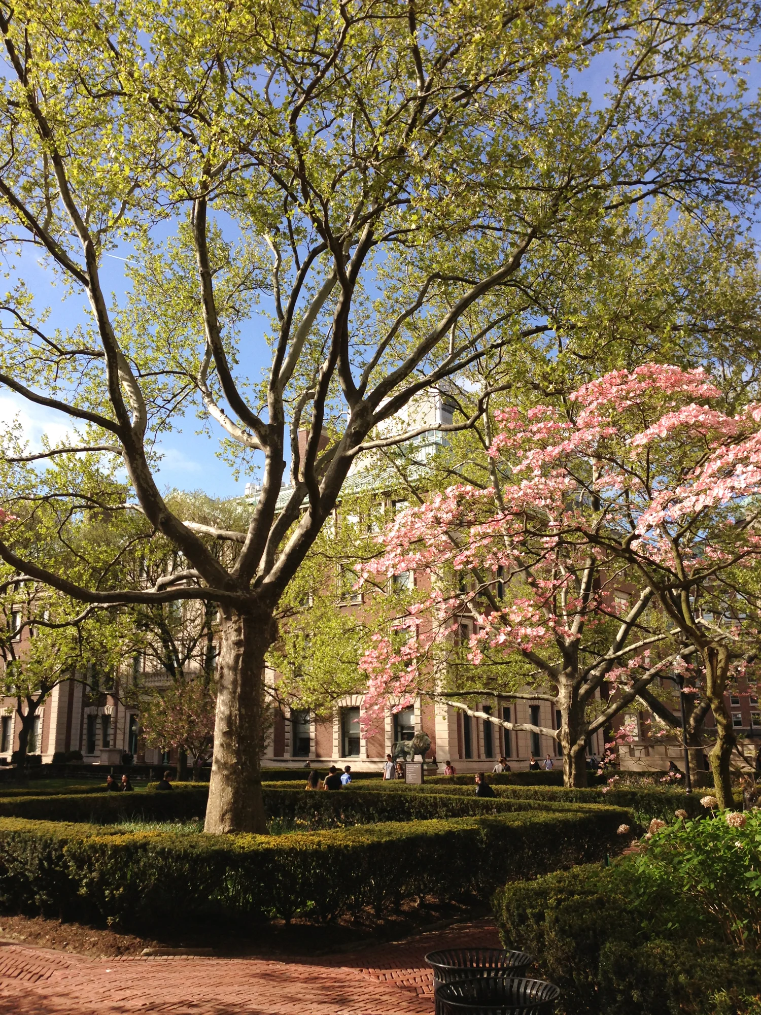 Columbia in Spring, 2013