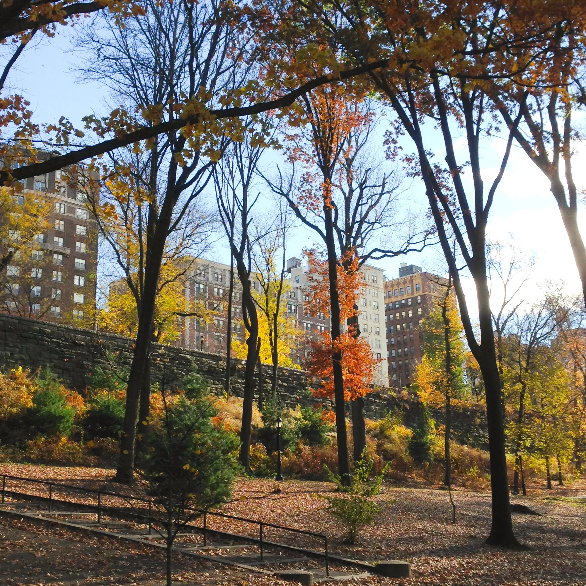 Riverside Park, 2013