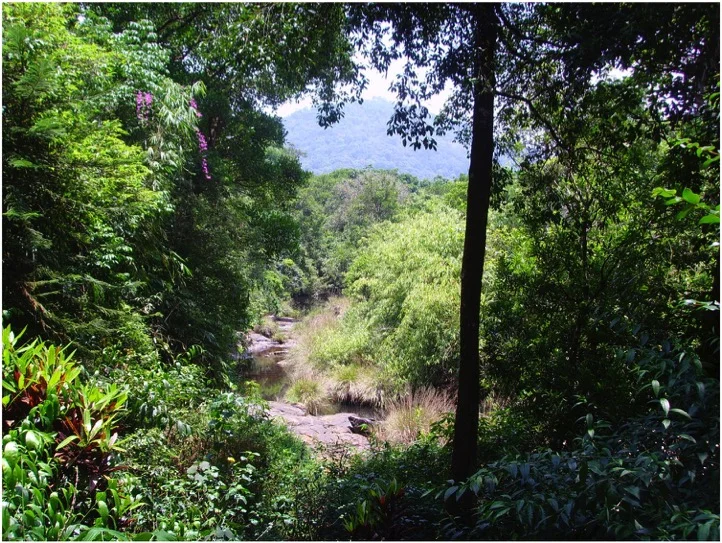 SAI Sanctuary 2009.jpg