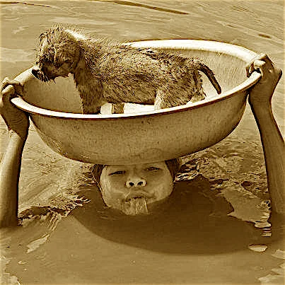 What is Our Purpose.jpg