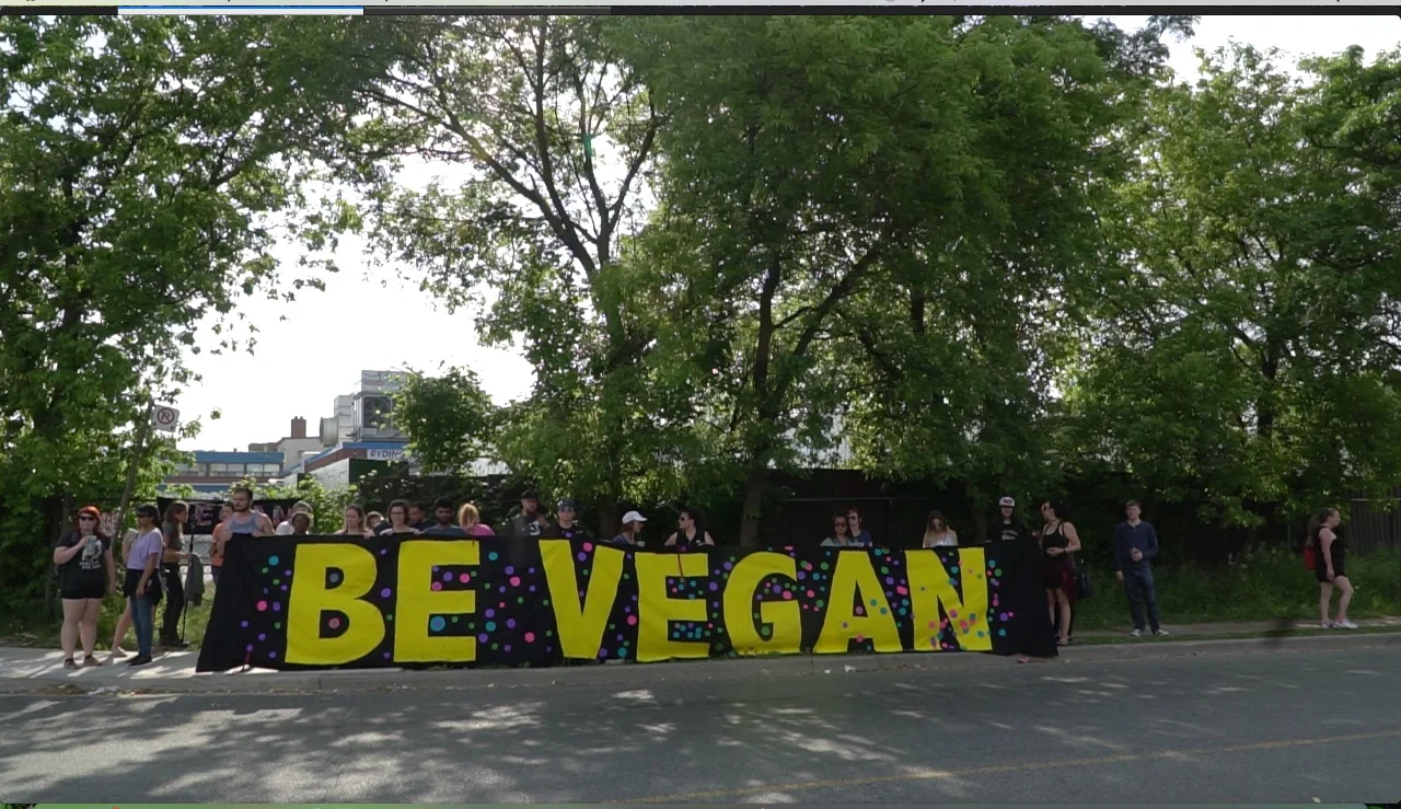 Be Vegan.jpg