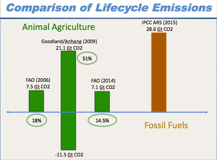 LifeCycle Emissions of Animal Agriculture.jpg