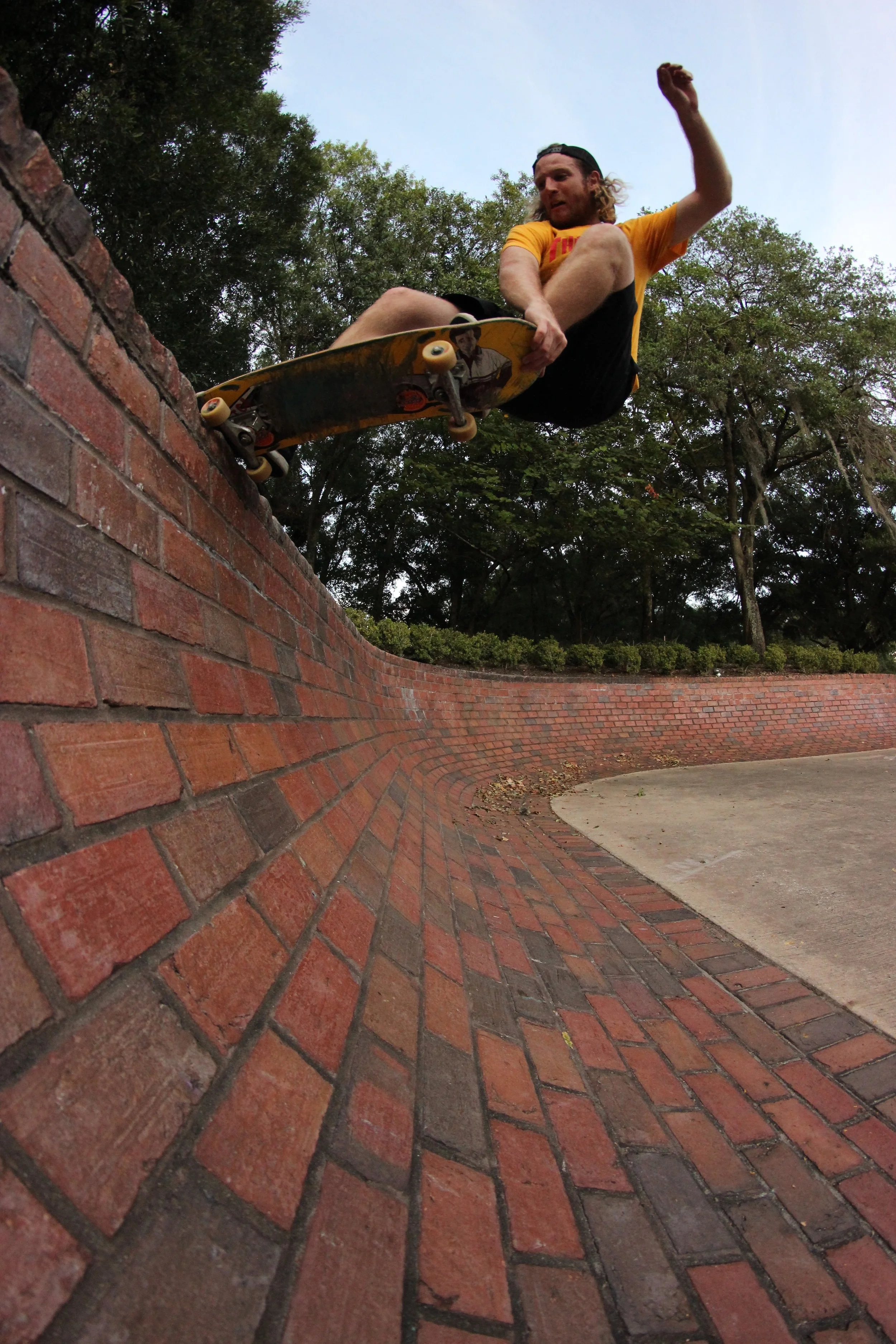 Gabe - Crail tail in Orlando, FL