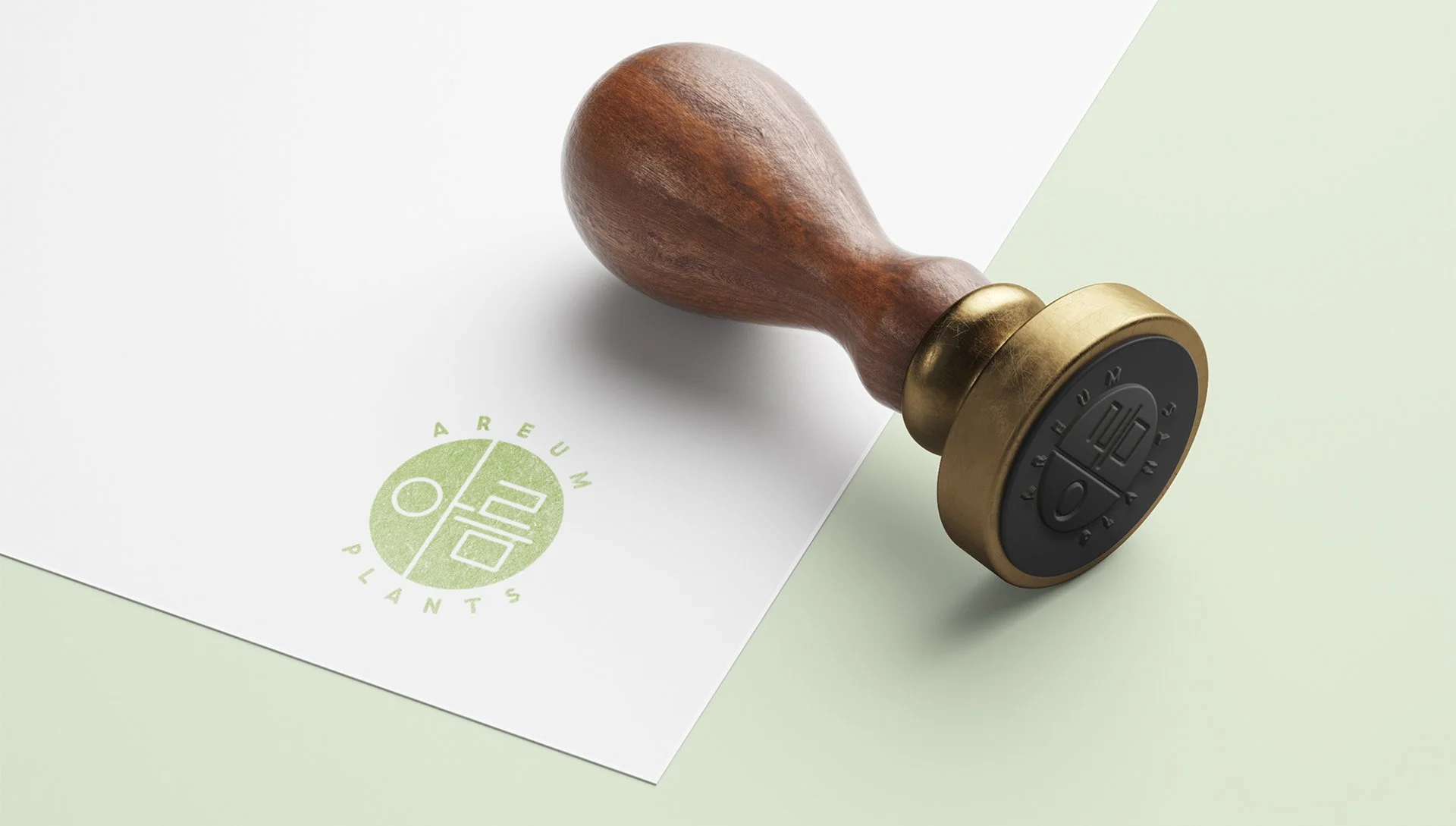   Ask:   Create a brand identity for Areum Plant.    Role:  Design Director   Client:  Areum Plant 