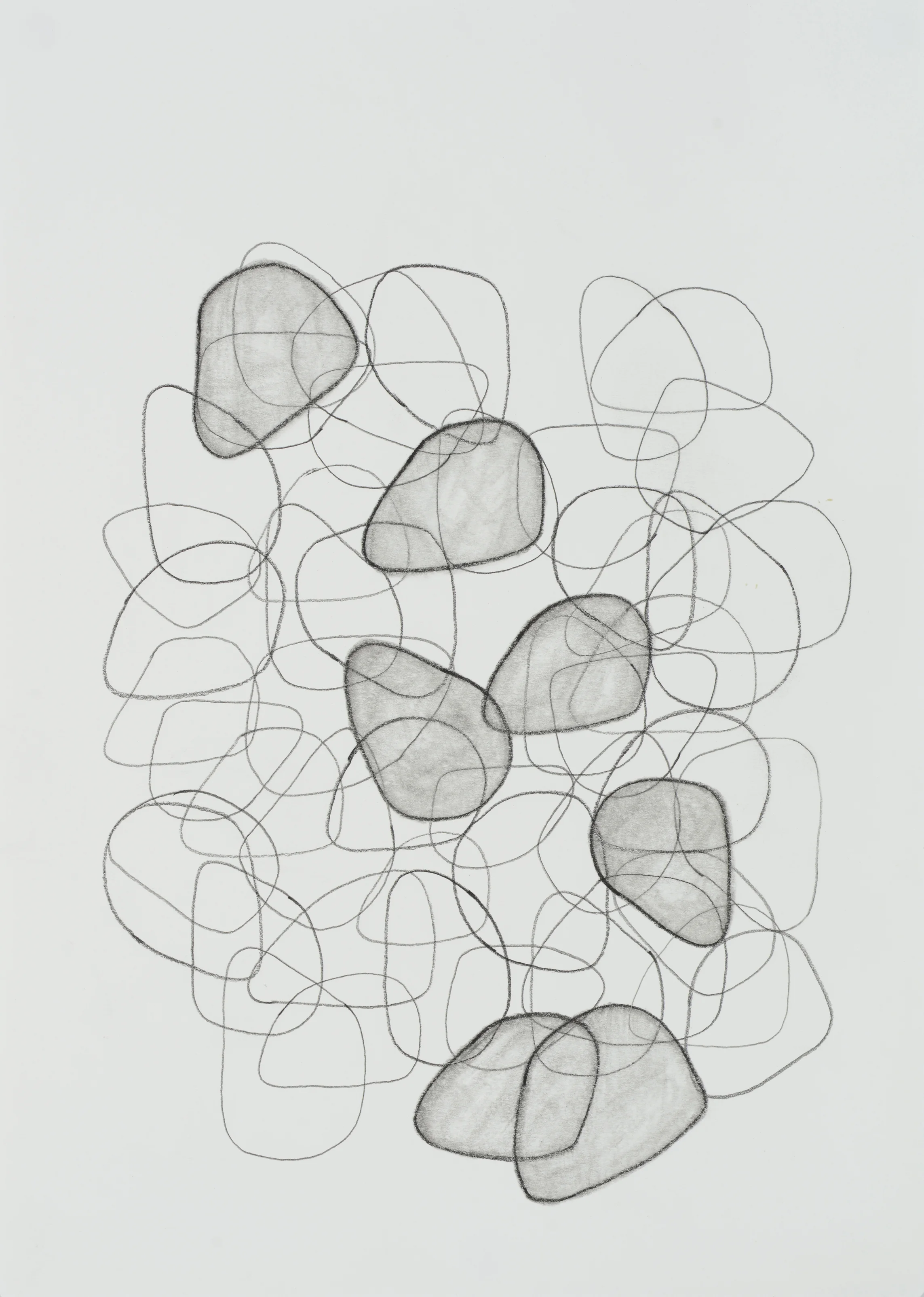 subtle bodies | stone (01), 2015 | graphite on paper | 11.5" x 8.25" | Private Collection, Louisville, Kentucky