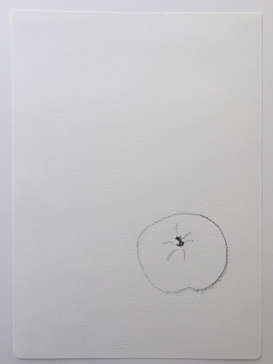 ensō | apple (11), 2015 | graphite on paper | 11.75" x 8.25"