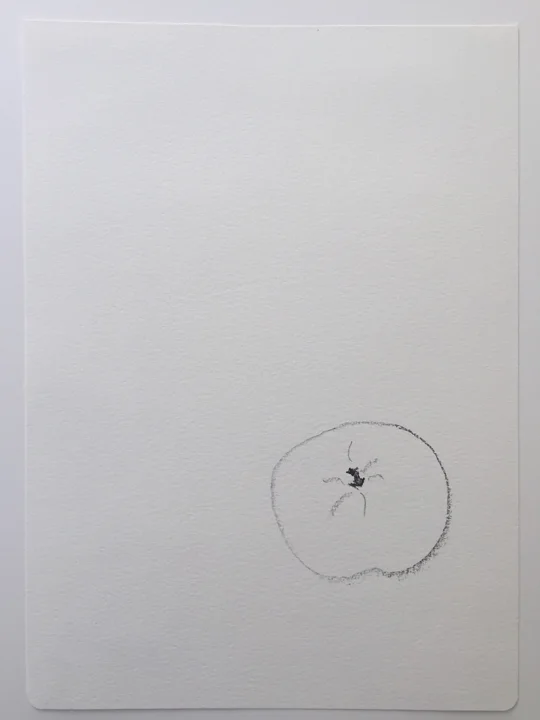 ensō | apple (11), 2015 | graphite on paper | 11.75" x 8.25"