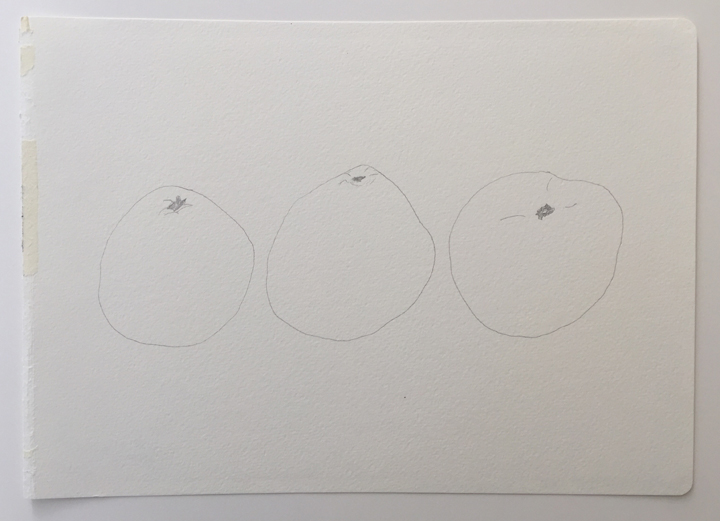 ensō | grapefruit (02), 2015 | graphite on paper | 8.25" x 11.75"