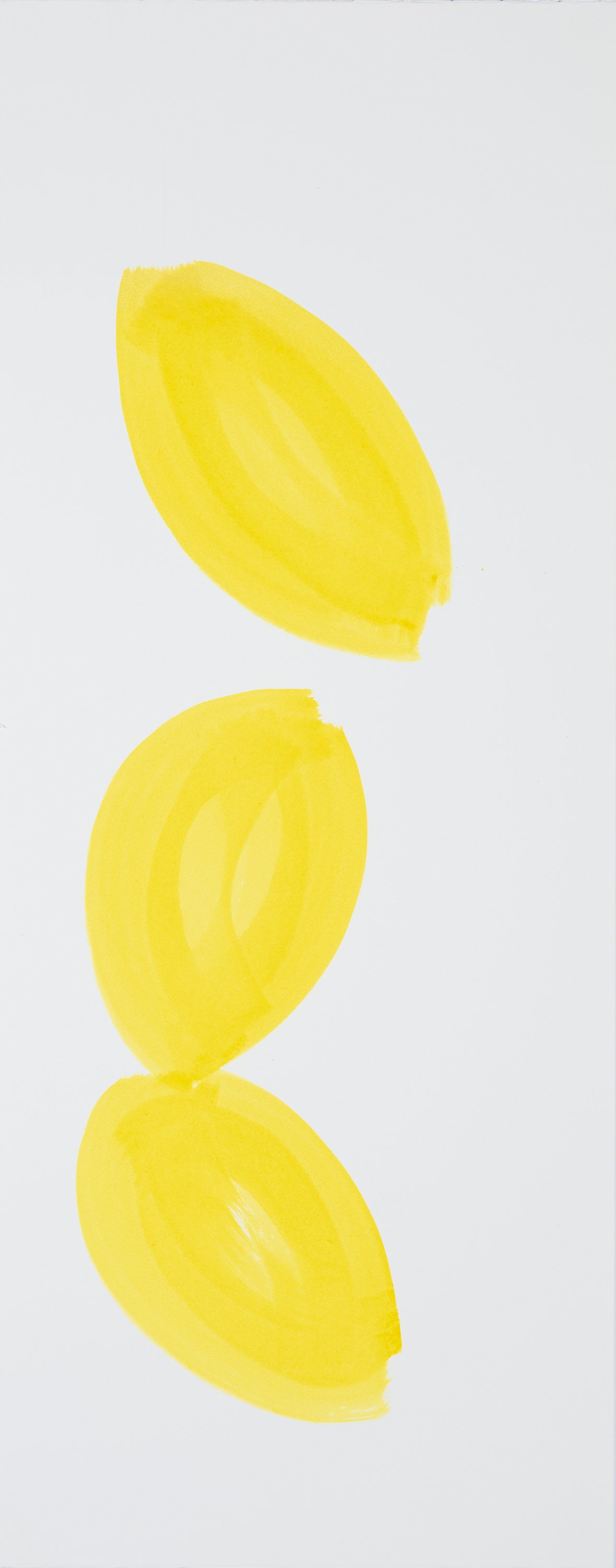 ensō | lemon (05),  2020 | ink on Fabriano paper | 29.5" x 11.75"