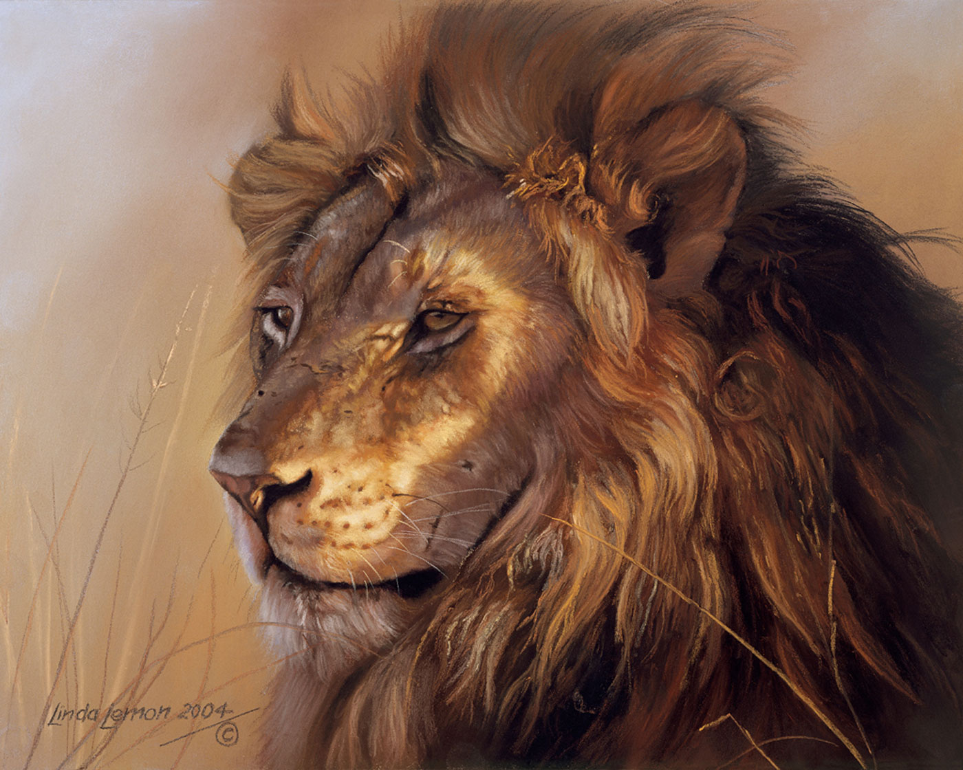 Lion Portrait