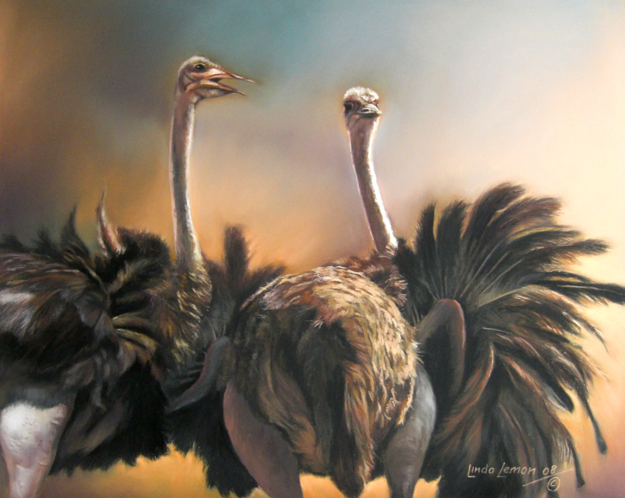 Ostrich Pair