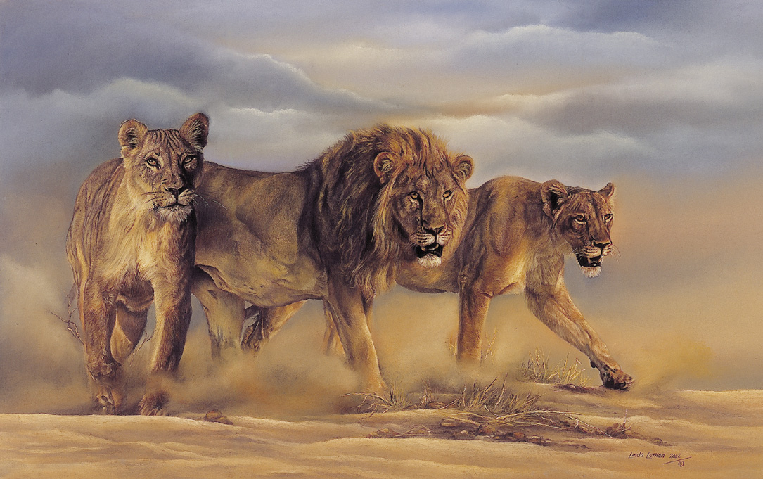 Prowling Lions