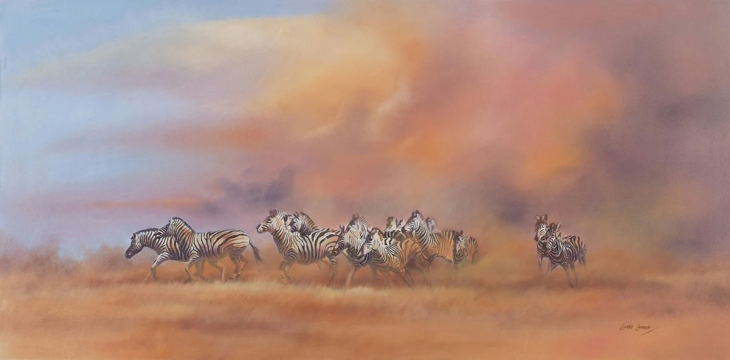 Zebra Stampede