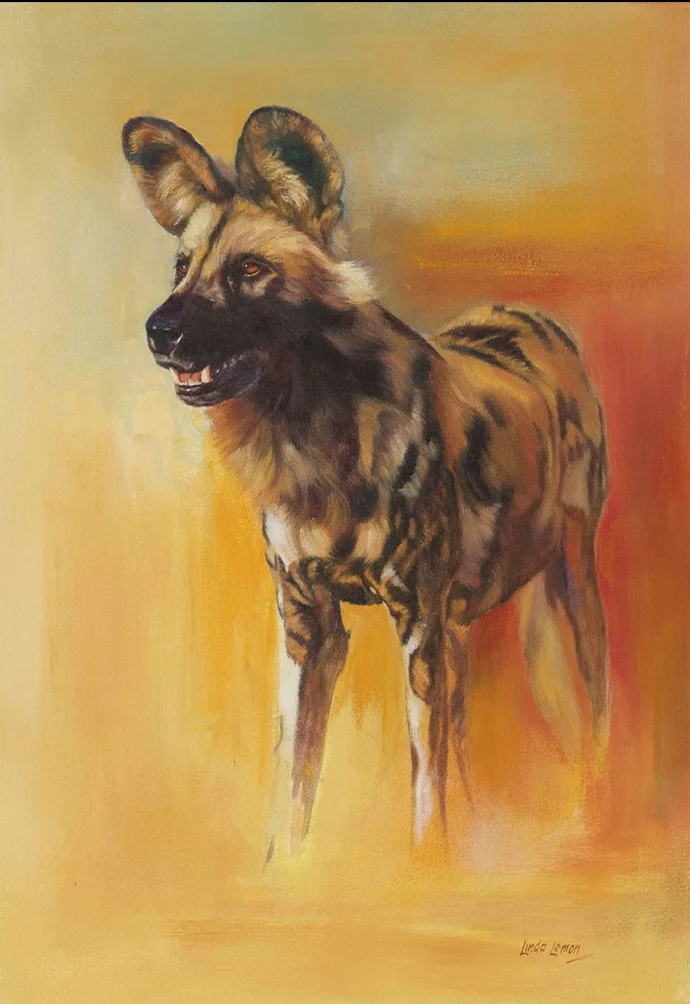Lone Wild Dog
