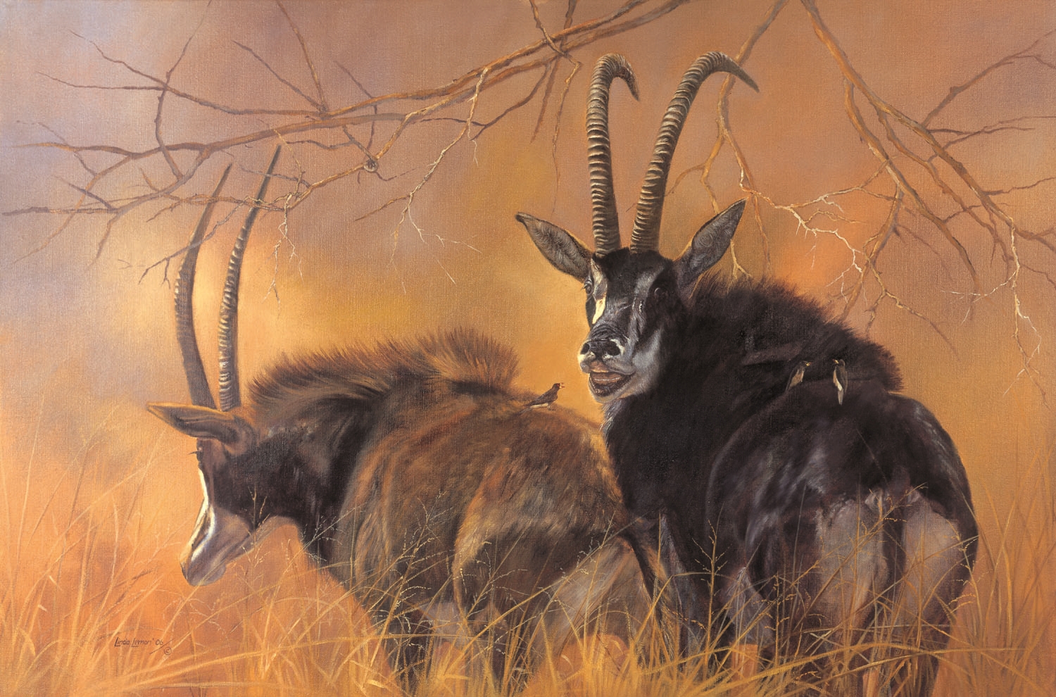 Sable Pair