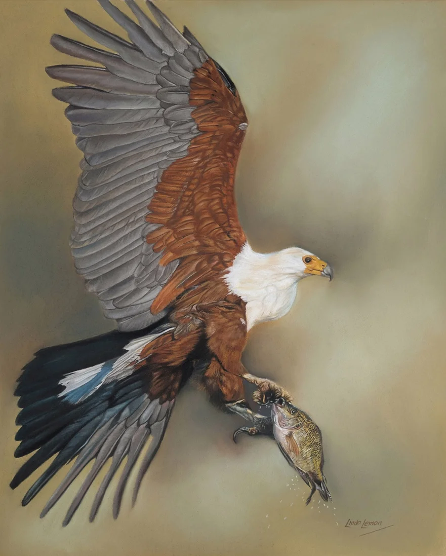 Fisheagle