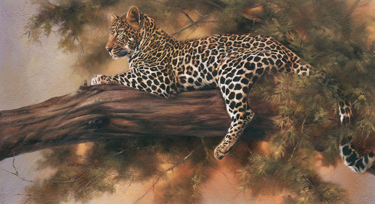 Leopards Retreat