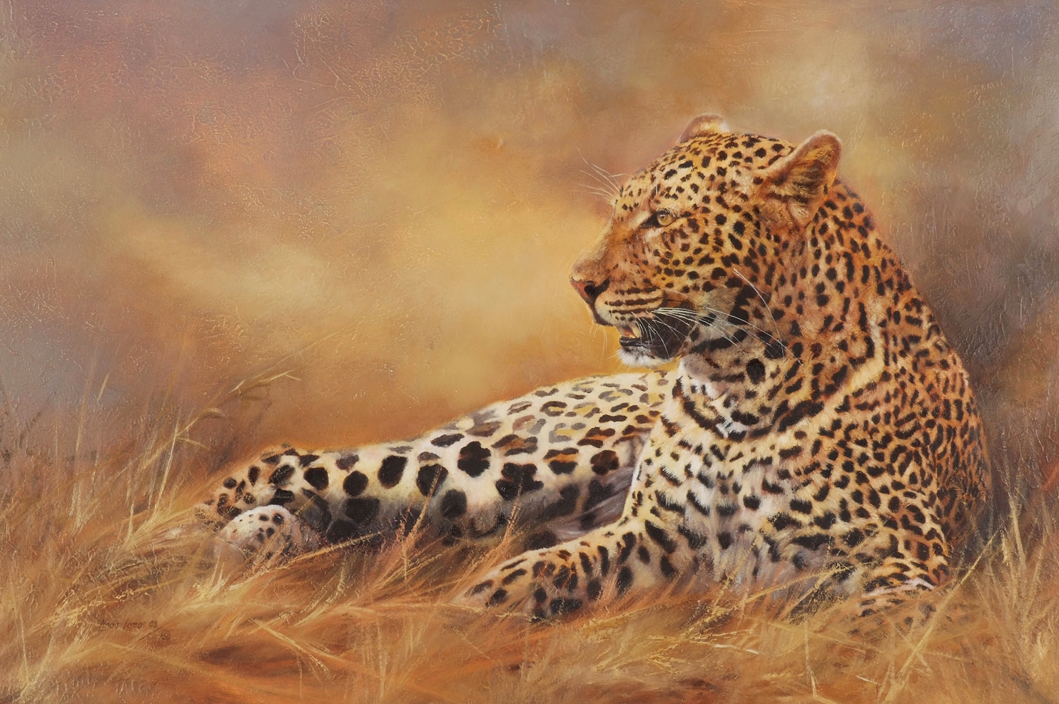Languid Leopard