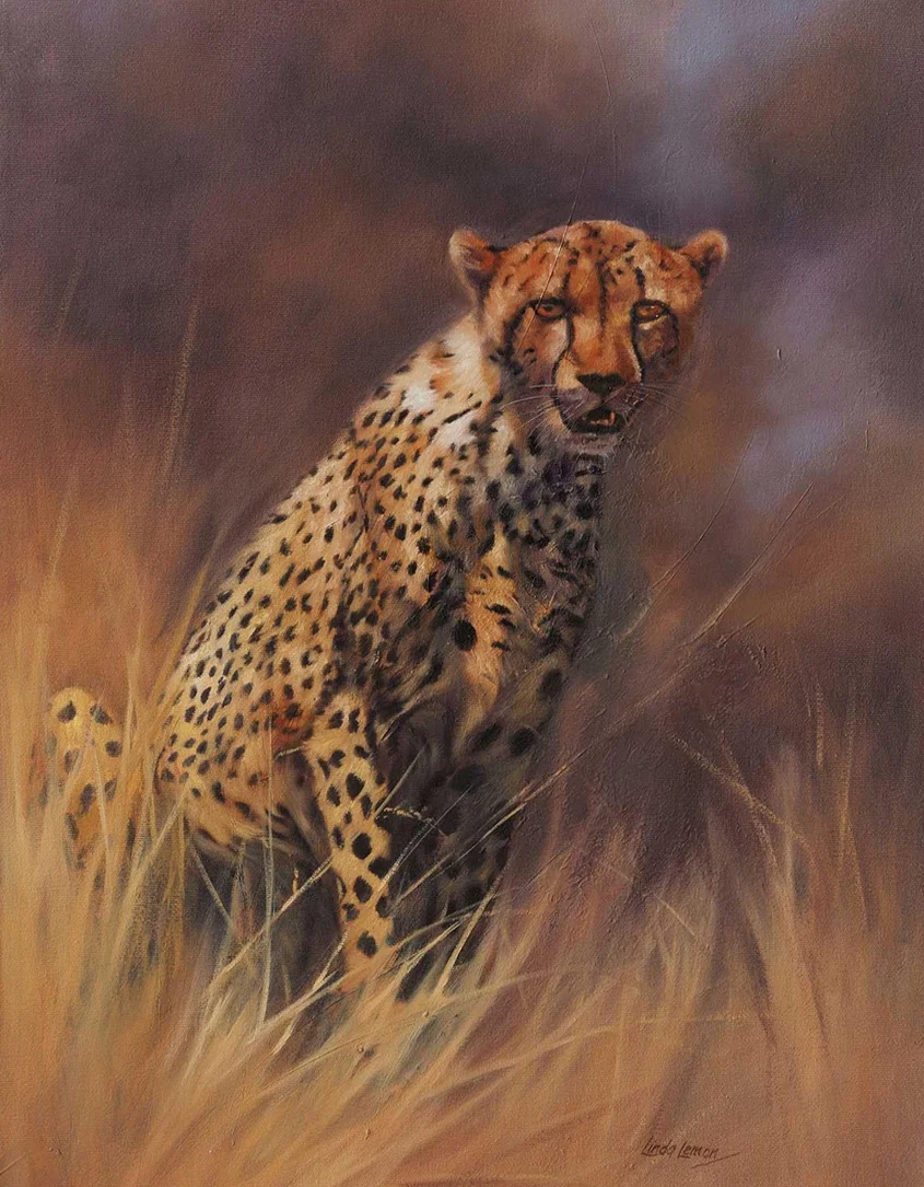 Pensive Cheetah