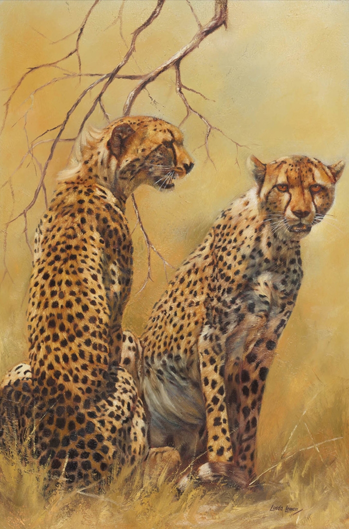 Cheetah Pair