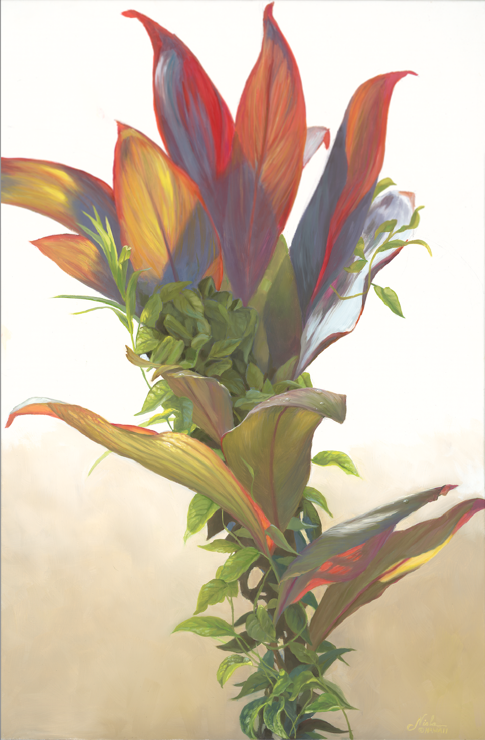 Plant medicine Ti leaf