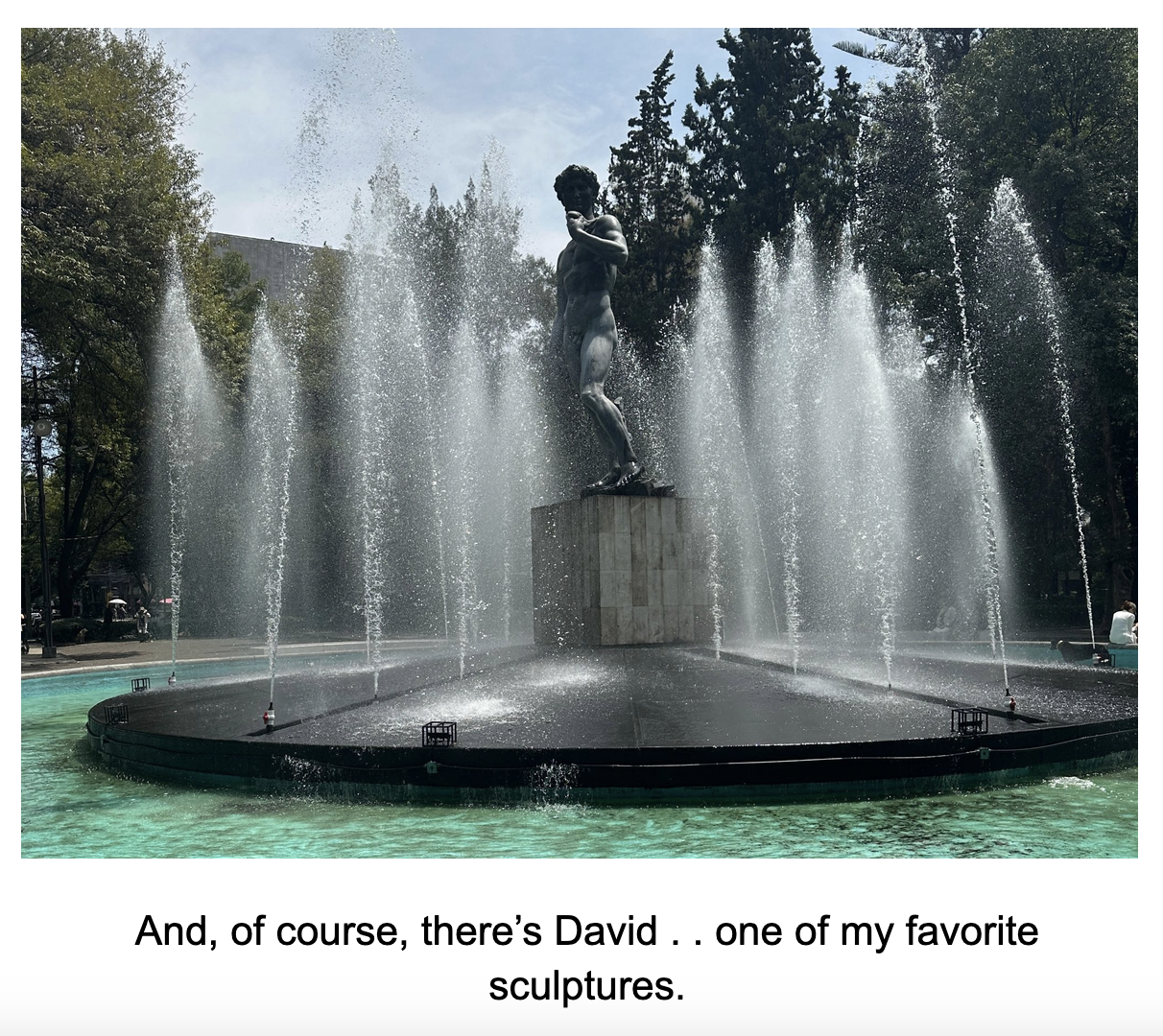 David 1.jpg