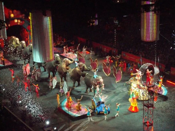 circus2.jpg