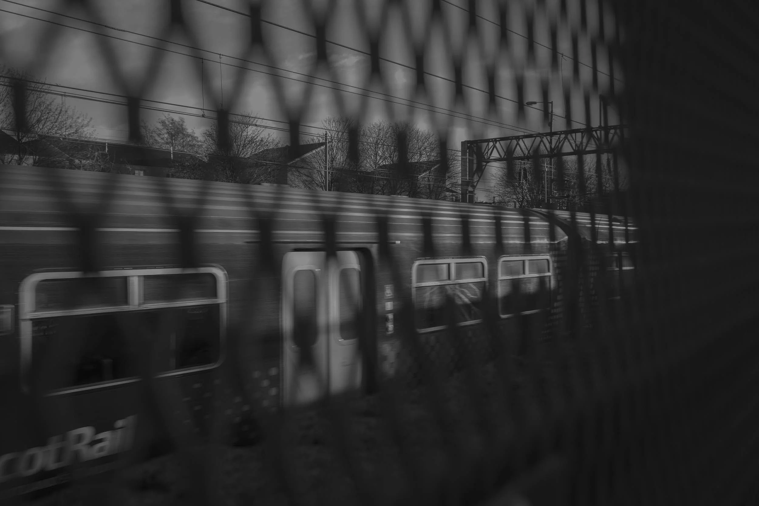 HY6A7215_1.jpg