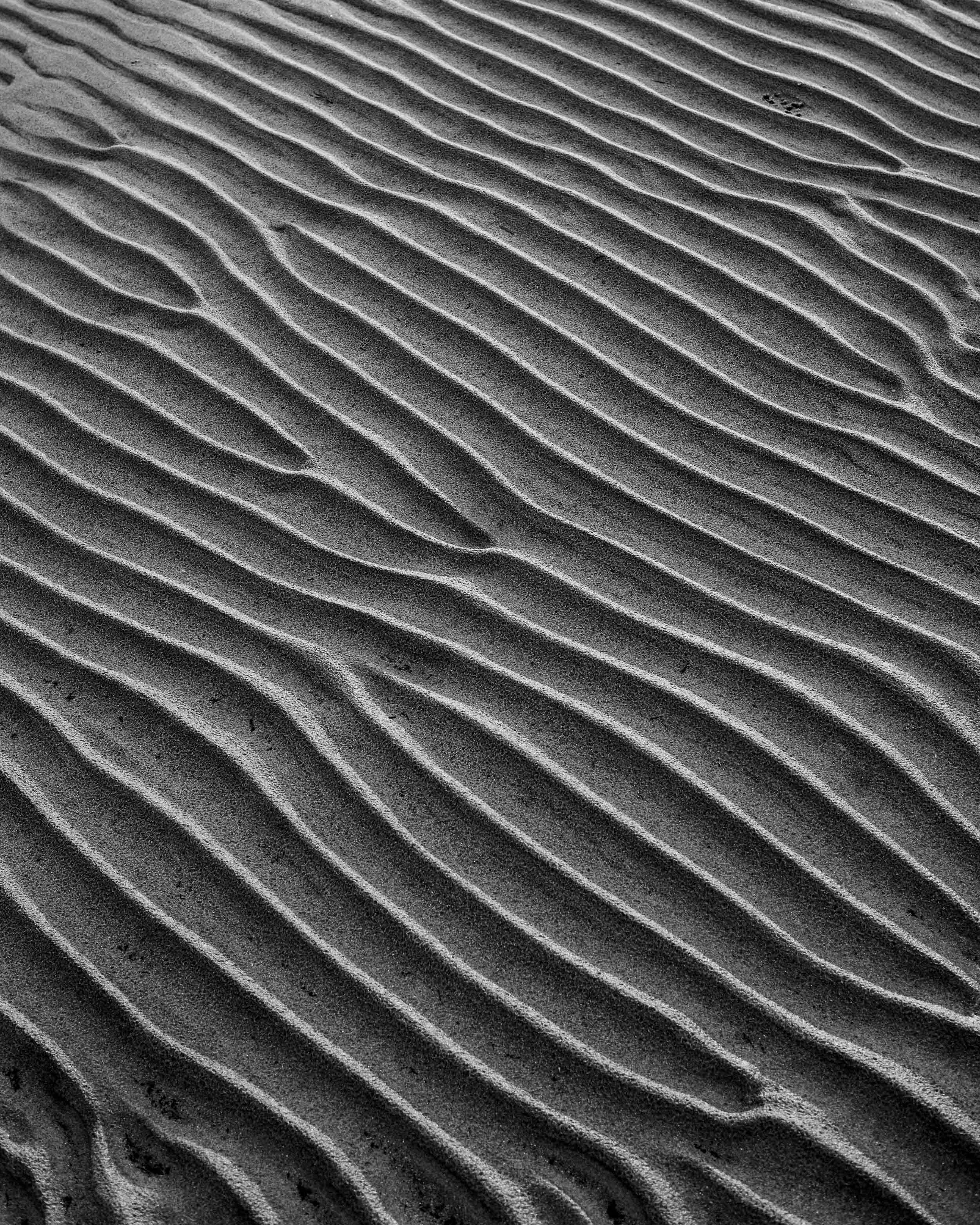 seafloor.jpg