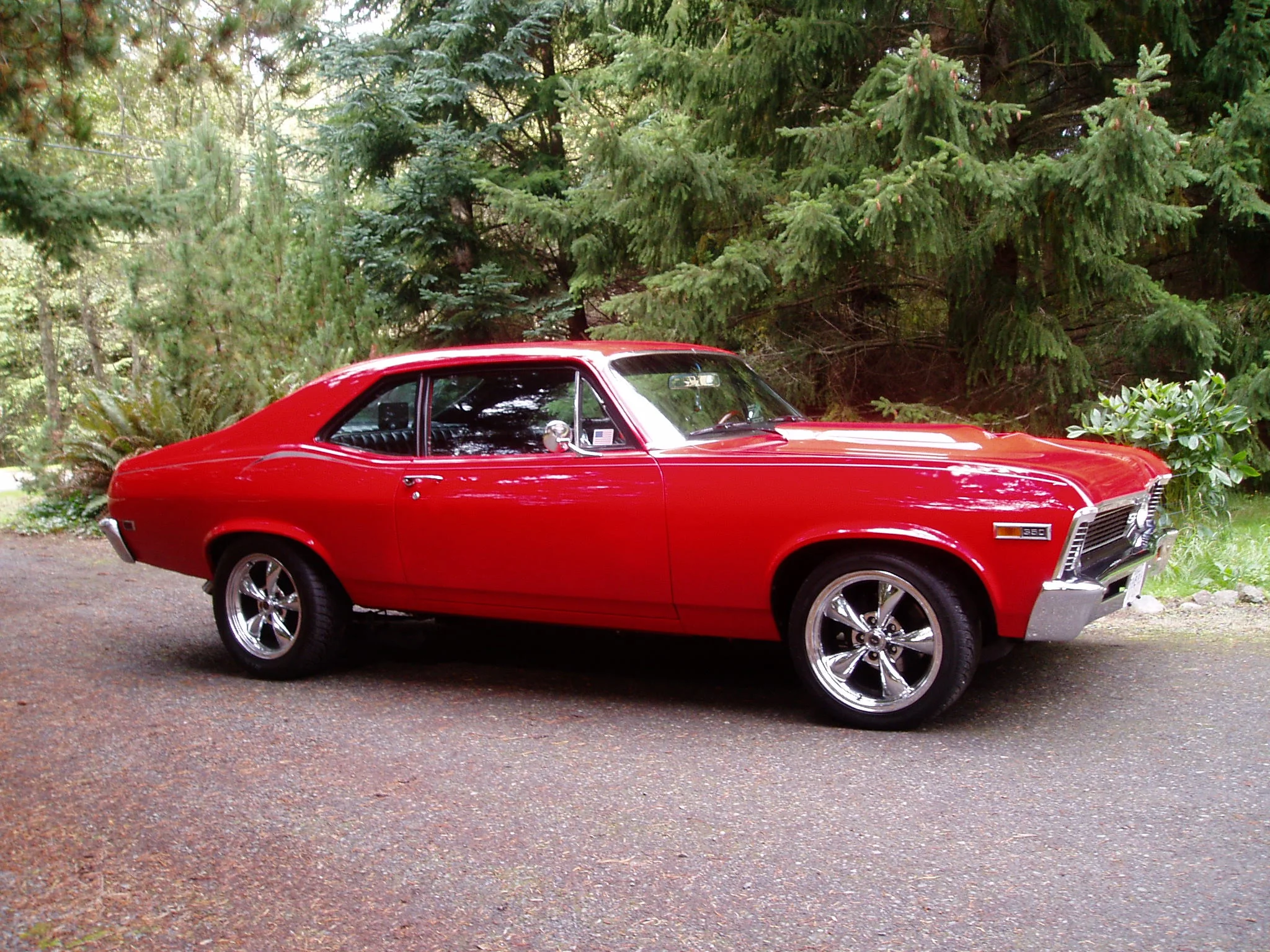 Ted Mann 81 Chevy Chevelle