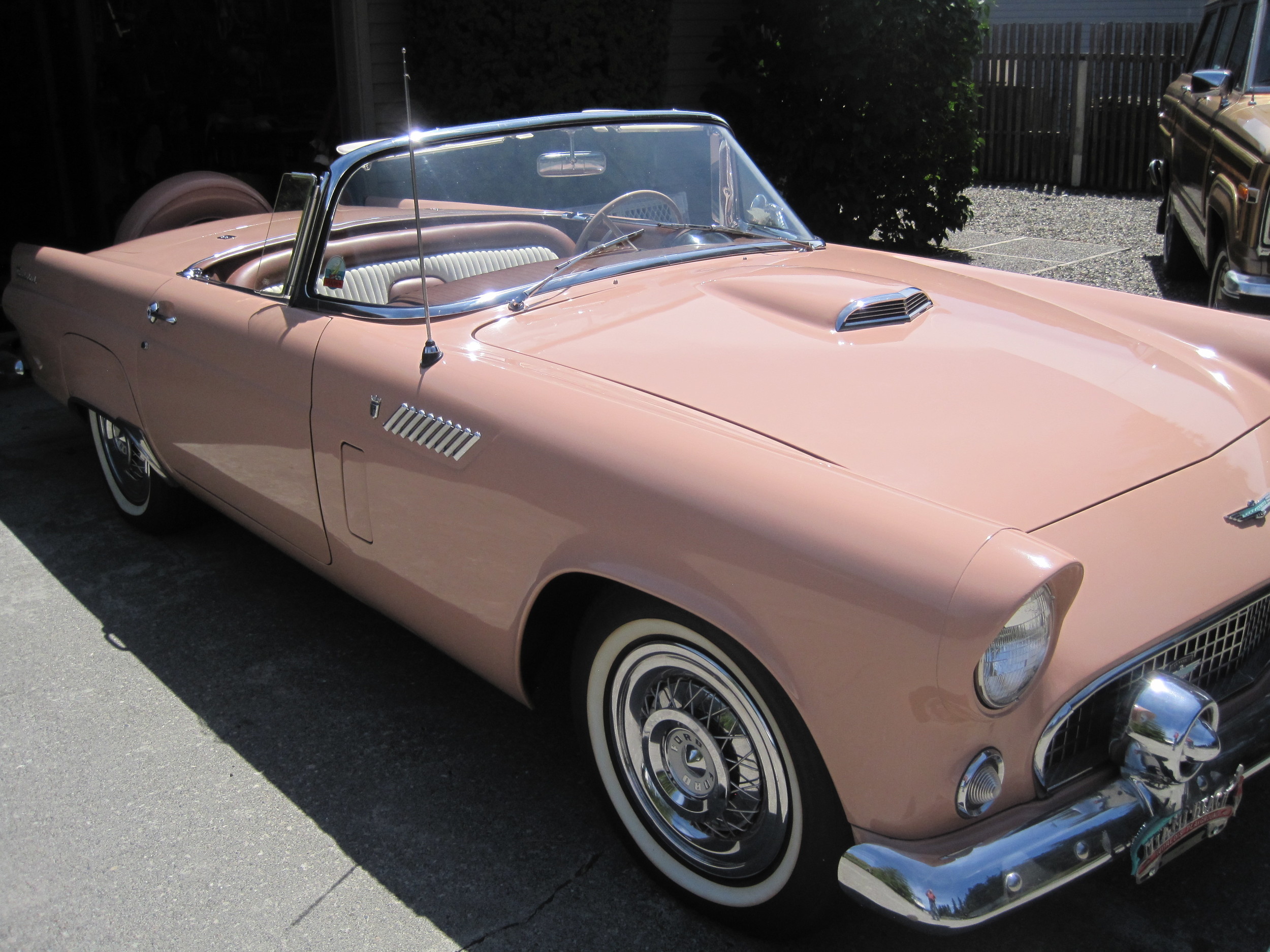 Larry Duckert 1956 Ford T-Bird