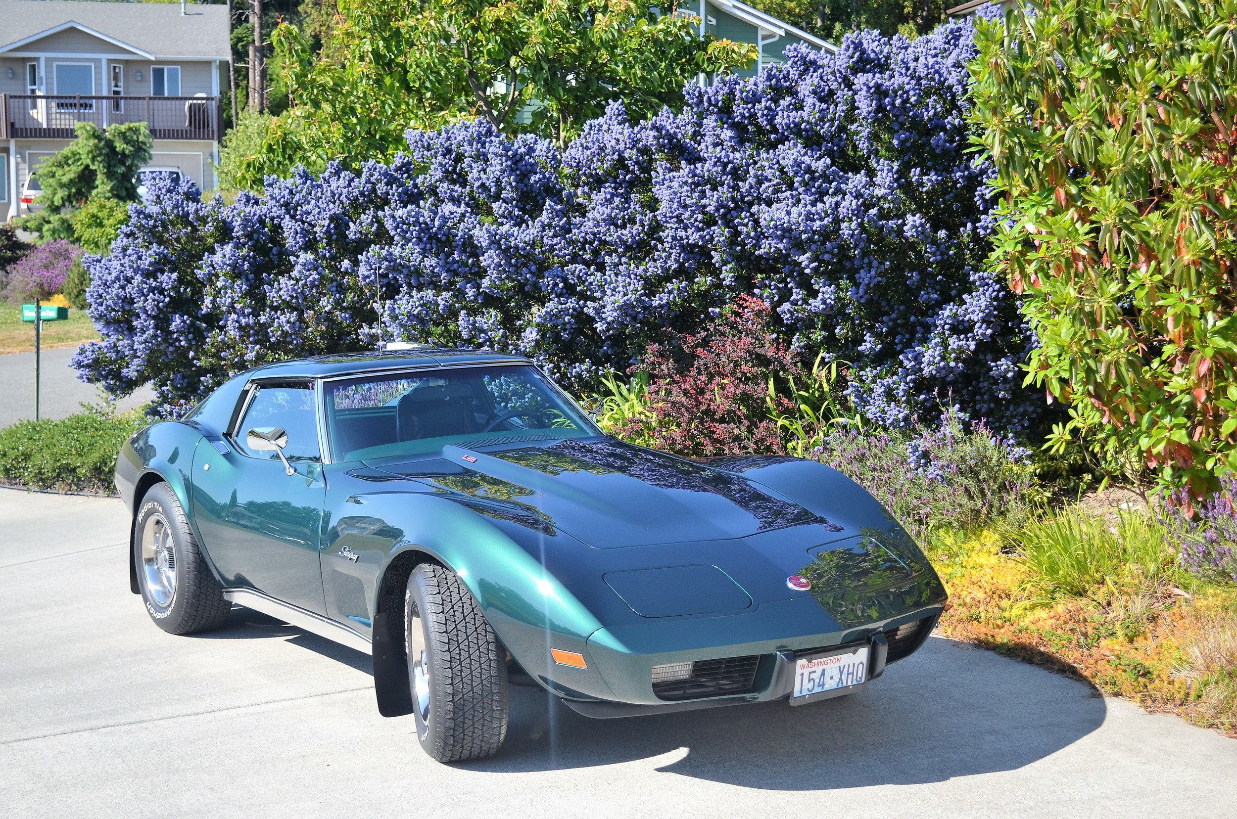 Richard & Beverly Hughes 1976 Chevy Corvette