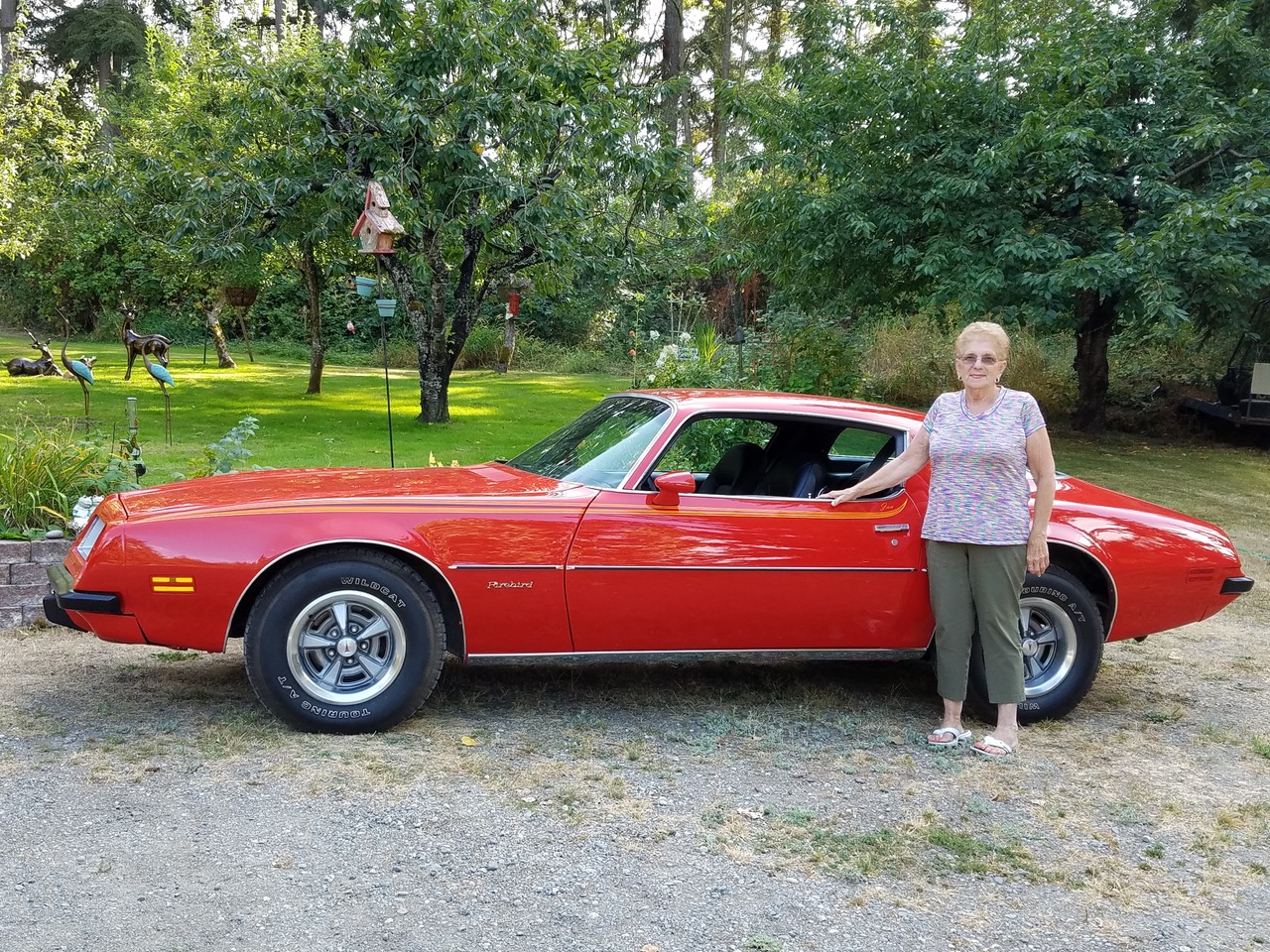 Jan Kammenga 1975 Pontiac Firebird