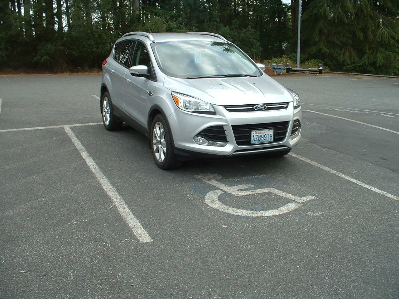  Alma Williams 2016 Ford Escape 