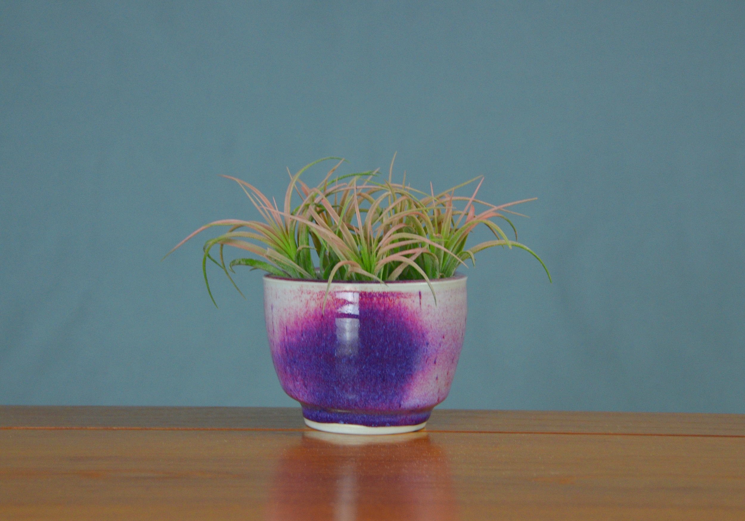 Porcelain Purple Succulent Planter | Hand thrown porcelain on a potter's wheel.  High Fired, Cone 10, Lipstick Purple Glaze, Hand Trimmed, Ceramic | Caldwell Pottery