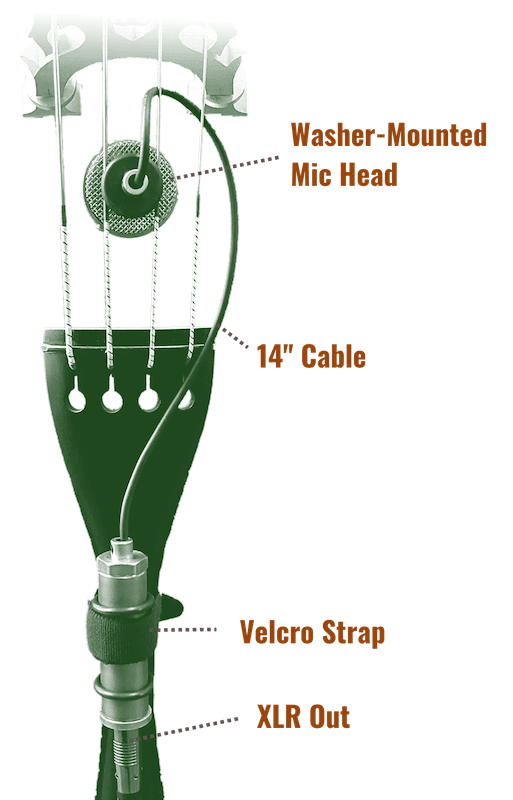 Diagram for how to mic Nadine on tailpiece