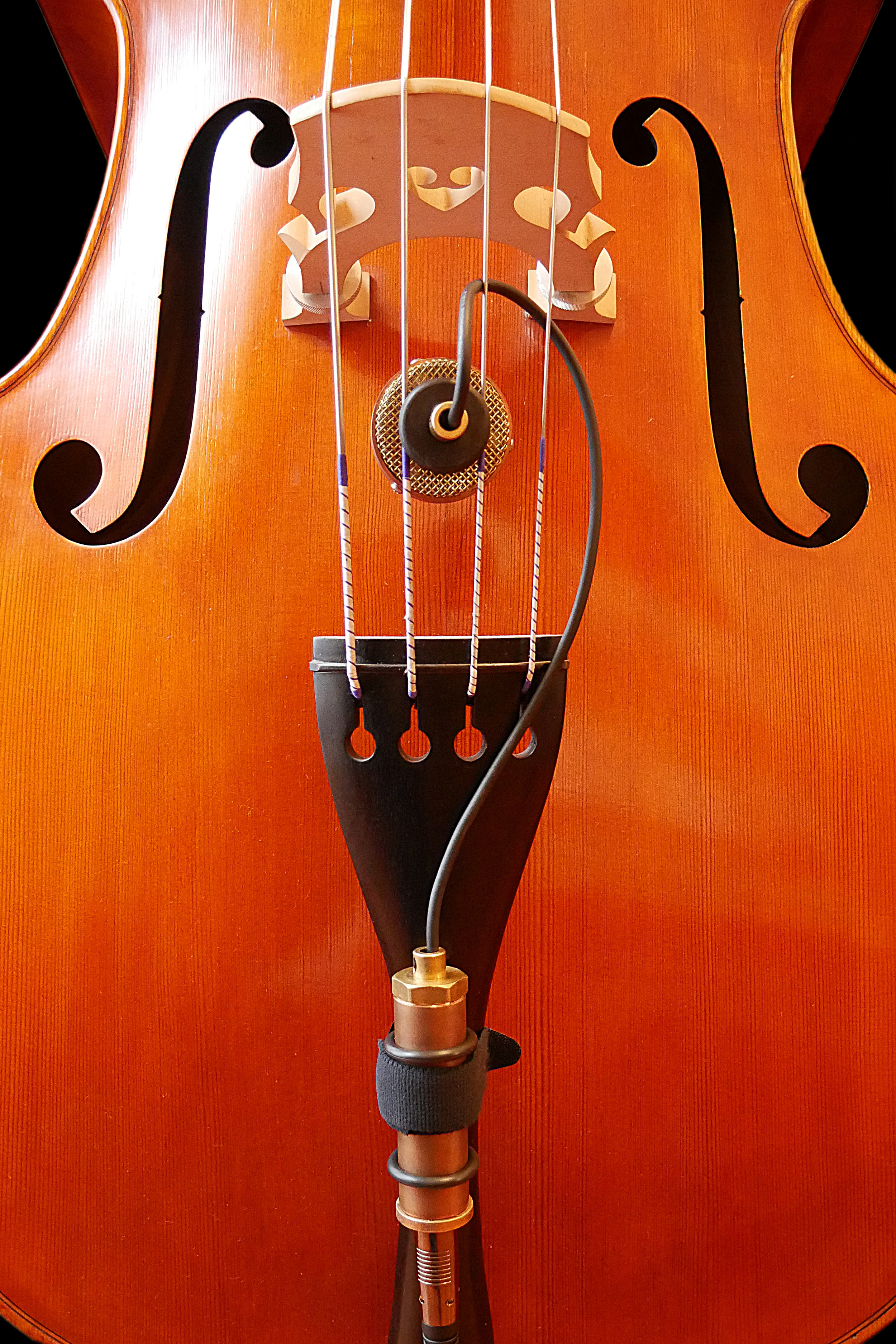 Introducing Nadine, the new ETL mic exclusively for upright bass