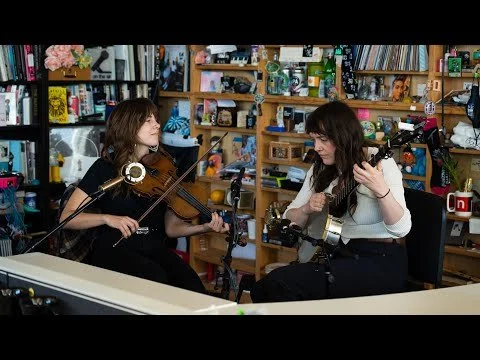 Delphina Stereo Pair — Ear Trumpet Labs