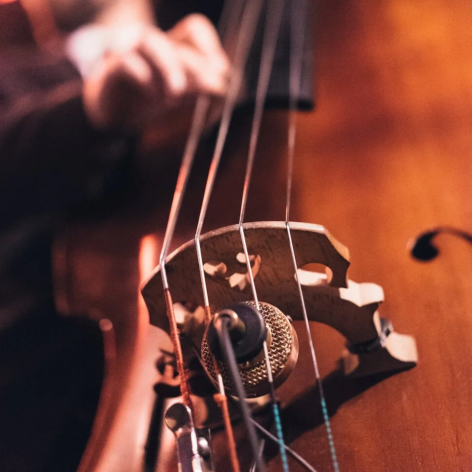 Nadine Bass Microphone Becomes a Go-To Choice for Broadway Pit Orchestras