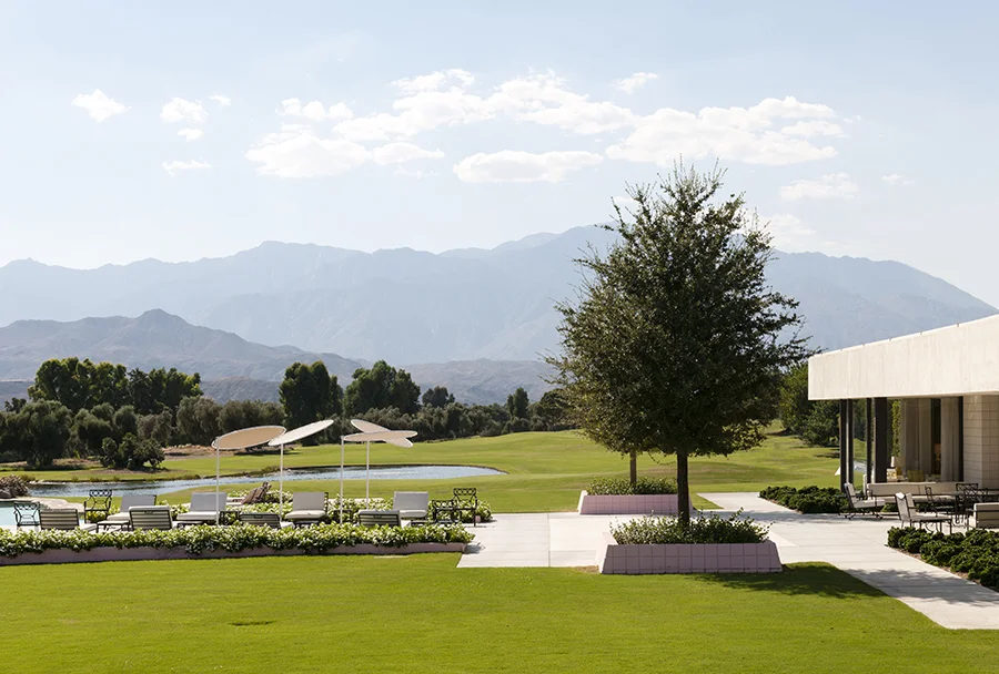 Gardens of Palm Springs No. 5