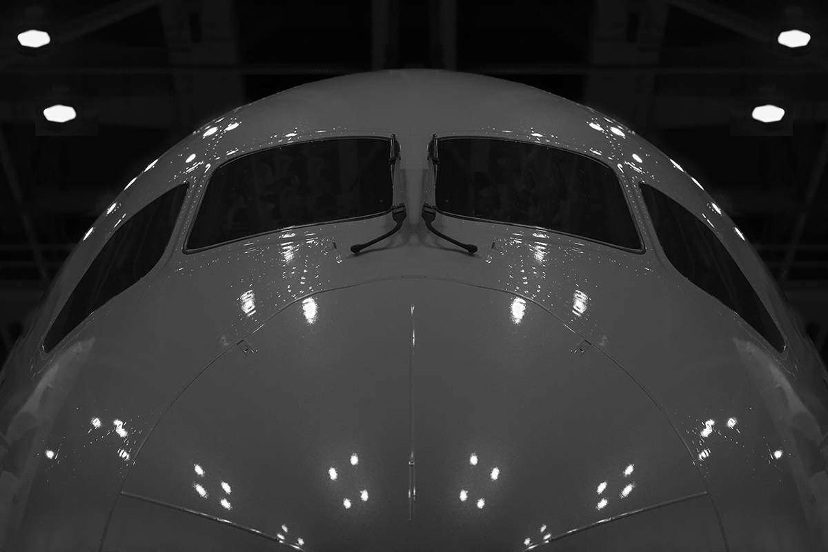 Plane Metal - 787 in the hangar.jpg