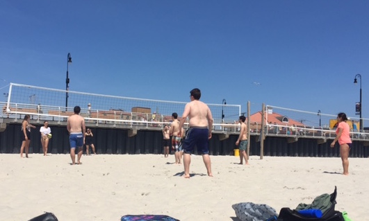 Lab Volleyball - Beach Day - August 2016