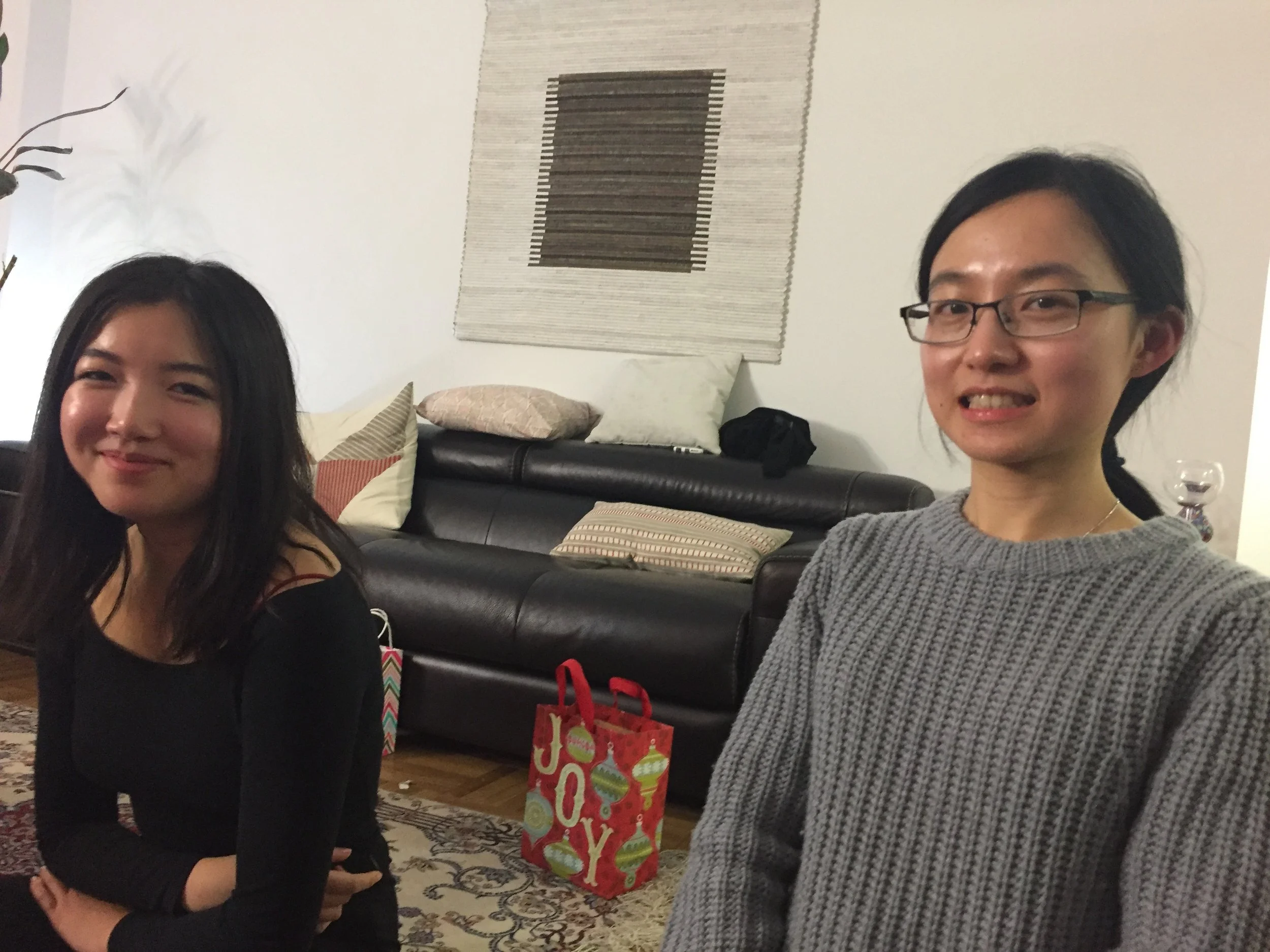Sfeir Lab Holiday Party - 2016
