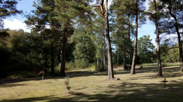 Gillian's Meadow, Brookwood Cemetery, Woking