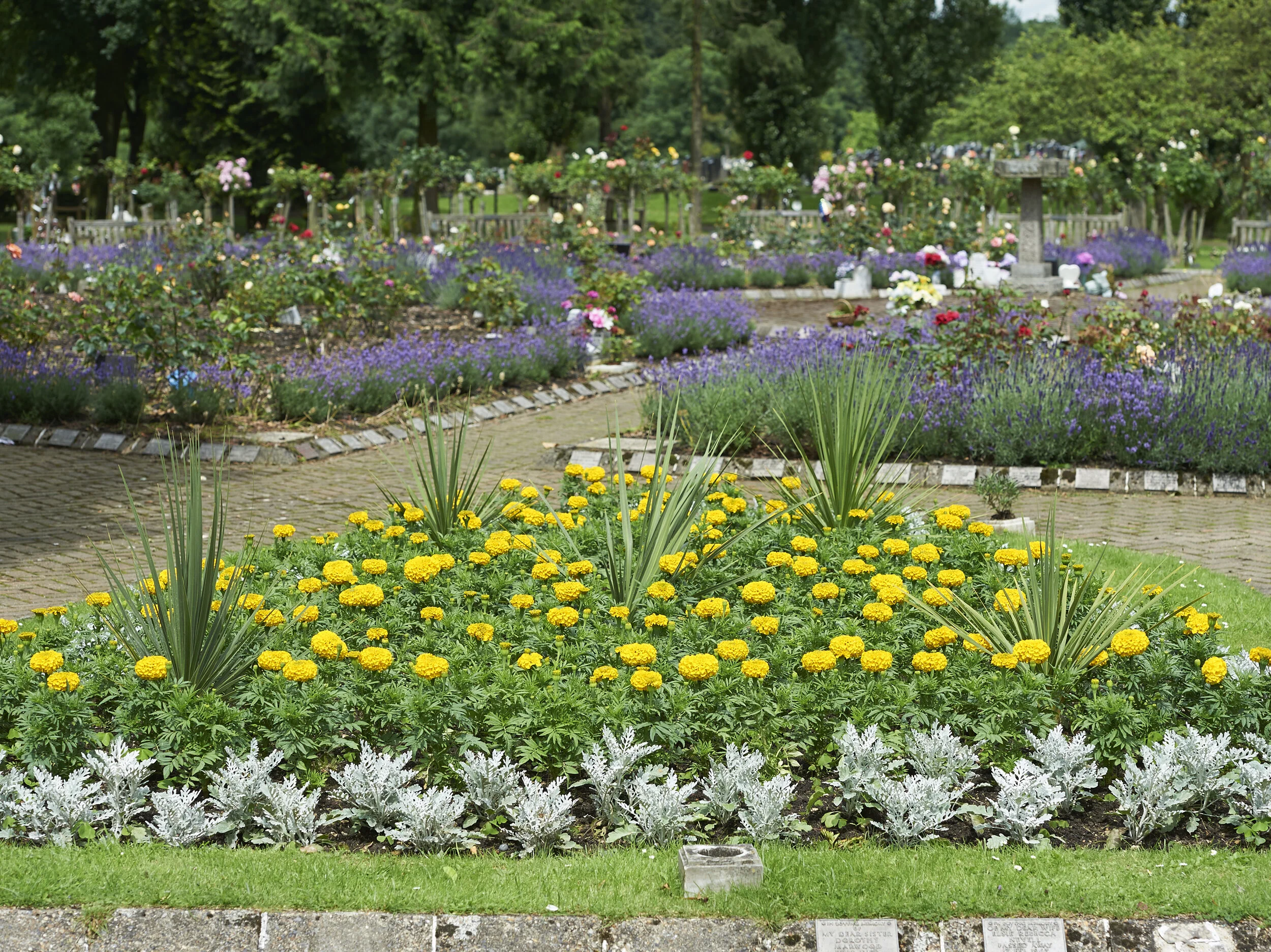 Lavender, flowers and memorial gardens at Islington Crematorium